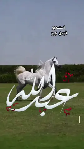 ياعبدالله انت النعم اخذته بدون قياس شيلة مدح باسم عبدالله  #استديو_أجمل_فرح_لطلب_الشيلات_0533732997 #السعودية_الكويت_قطر_تصميم_فيديوهات🎶🎤🎬تصميمي🔥 #تصميم_اسماء_حسب_الطلب #شيلة_باسم_عبدالله #شيلة_عبدالله 
