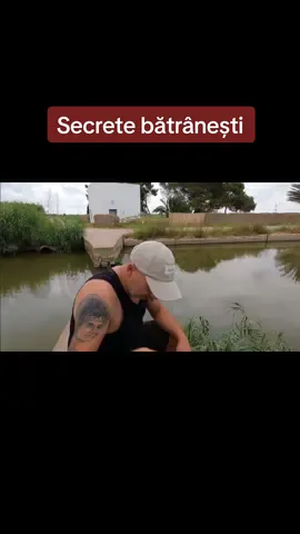#fishingknot78 #pescuitlausturoi #fishing #caras #pescuitlacrapsalbatic 