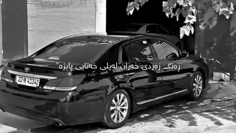 #fyp #avalon2012 #d4raay_avalon #repost #foryou 