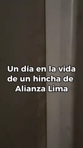 Inspirado del vídeo de @Cabechoni  #Alianzalima #humor #futbol⚽️  #peru🇵🇪 #fyp 