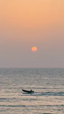 wafa of the nest😣 #balochi #balochistan #foryou #fyp 
