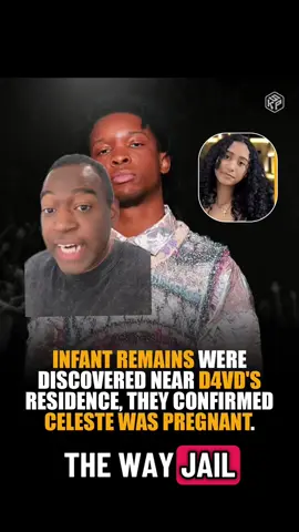 #greenscreen D4vd gotta got to jail. Ain’t no way they also find a dead baby by his house too! Volcanoes are on the table as well #d4vd #update #news #fyp 