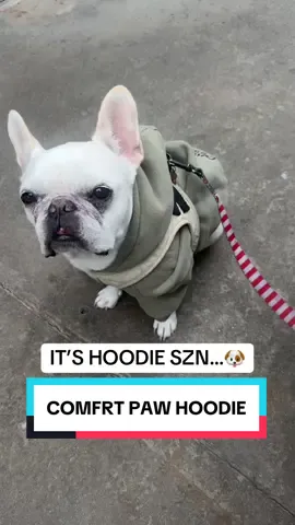 She has gotten more compliments on this hoodie than her actual smush face. #hoodies #frenchie #comfrtpaws #comfrthoodie #tiktokshoprestock 