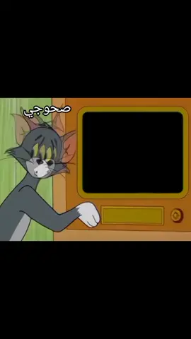 #صهيب_العراقي @صهيب العراقي✪ مناظرات 