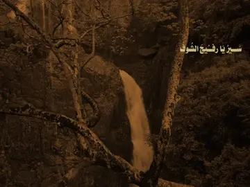 سَــيرُ يَا رفــُيجَ الشُوفَ …🎧🤎 . . . . . . . . . . . . . . . . . . . . . . . .. . . . . . . . . . . . . . . . . . . . . . . .. . . . . . . . . . . . . . . . . . . . . . . . . . . . . . . . . . . . . . . . . . . . . . . .. . . . . . . . . . . . . . . . . . . . . . . .. . . . . . . . . . . . . . . . . . . . . . . .#علي_الوائلي #السلام_عليك_يااباعبد_الله_الحسين #تصميم_فيديوهات🎶🎤🎬 #creatorsearchinsights #FYP 