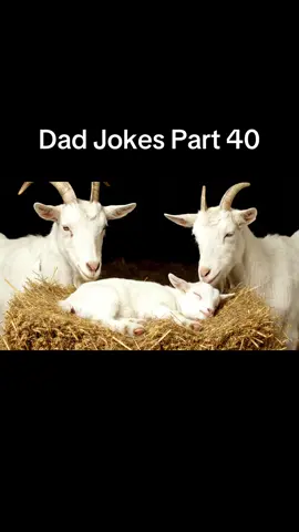Dad Joke series part 40 #fyp #viral #trending #dadjokes 