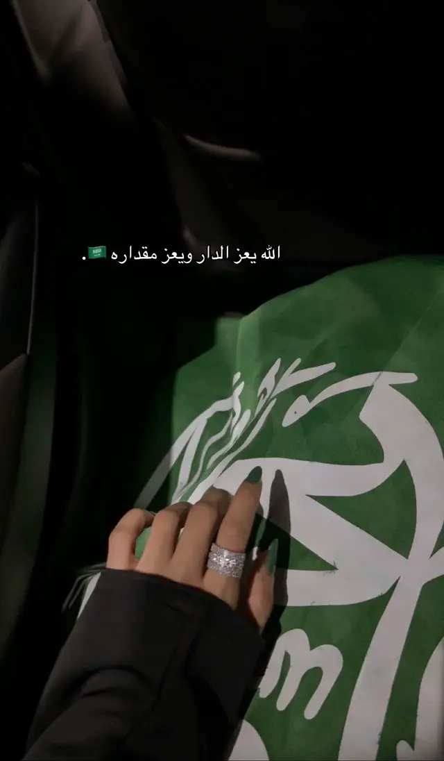 #اكسبلورexplore #تصميم_فيديوهات🎶🎤🎬 #تعليق #عشوائية #اليوم_الوطني_السعودي_٩٥🇸🇦 
