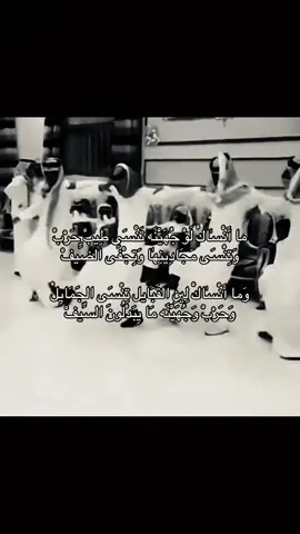 حرب جهينه #حرب_اهل_الثلااث_المعجزات #جهينه_حكام_الحجاز #اكسبلور #الشعب_الصيني_ماله_حل😂😂 #حرب_وجهينه_سوا 