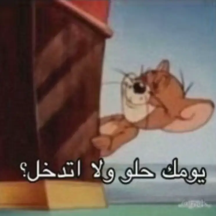#خطيبي_القلب_والروح💍 #مشاهير_تيك_توك #مالي_خلق_احط_هاشتاقات 