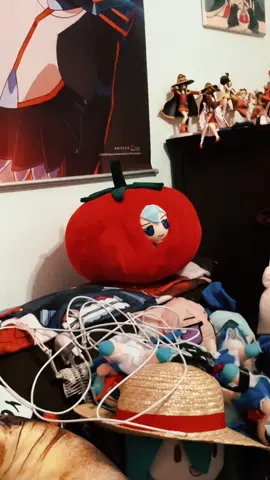 Cirno Tomato Cirmato #tomato #baka #cirno #meme #touhou 