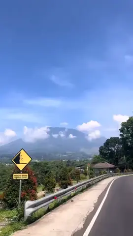 perjalanqn menuju puncak bogor indah nya perkebunan teh cisarua bogor timur#vibesnya#fyp...
