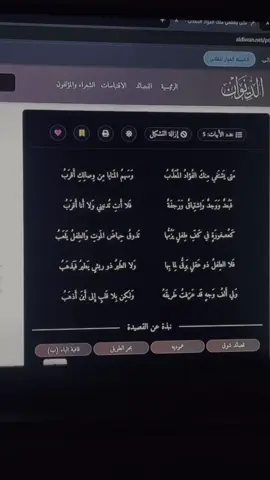 المرا هذي بدون موسيقى ☝🏻 اخطأت في حياضَ😓#شِعر #قيس_ابن_الملوح #مجنون_ليلي #fyp #اكسبلور 