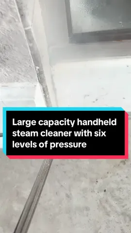 Large capacity handheld steam cleaner with six levels of pressure  #tiktokmademebuyit #CleanTok #tiktokshopfinds #steamcleaning #naturalcleaning 