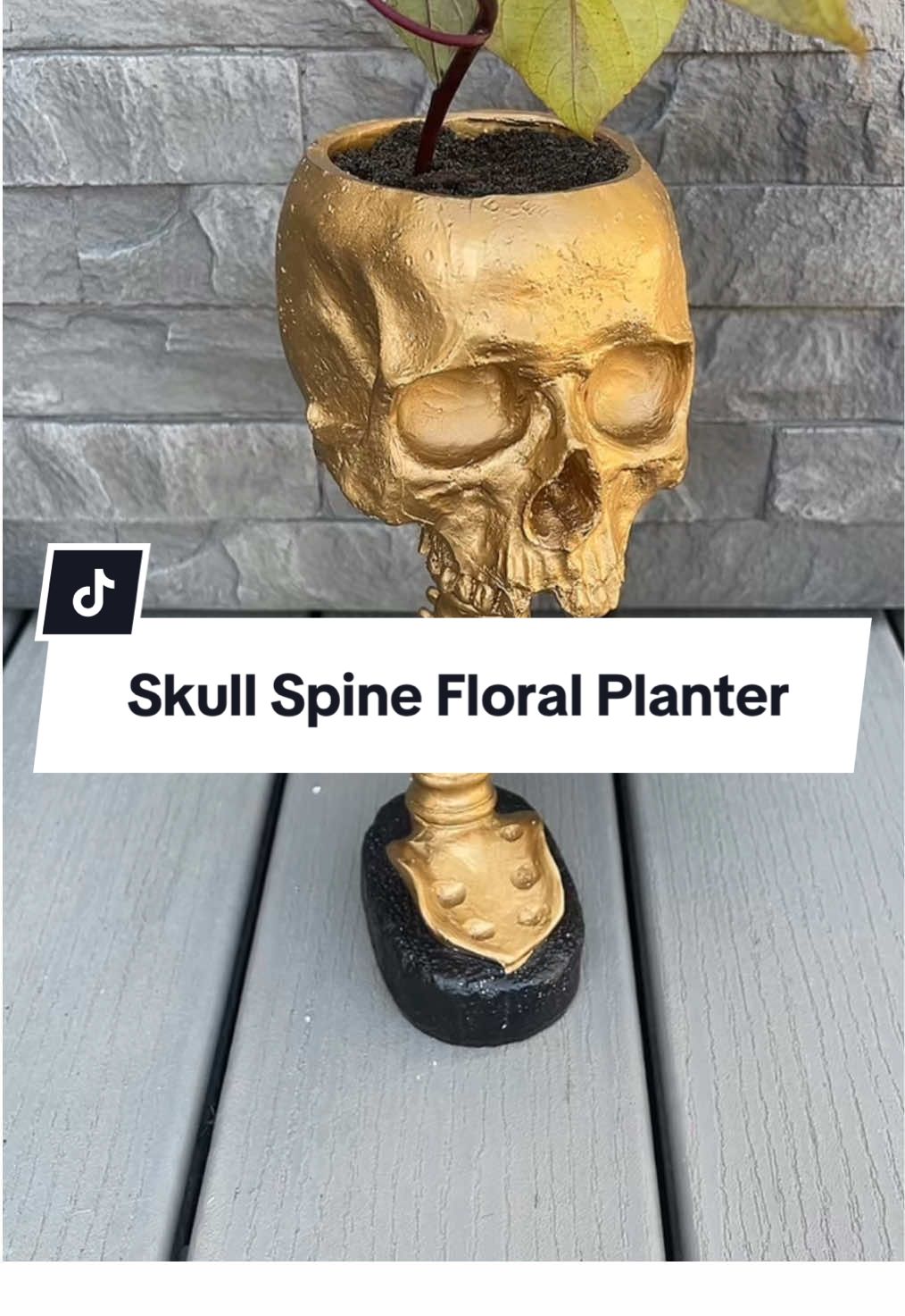 I’ll forever hold a spot in my home for this flower pot because gaaaahh how couldn’t you? There so eerie but elegant 👀✨ perfect for spooky season and beyond they’re sure to be a conversation piece 🧡 #flowerpot #skeleton #fallflowers #houseplants #halloweendecor 