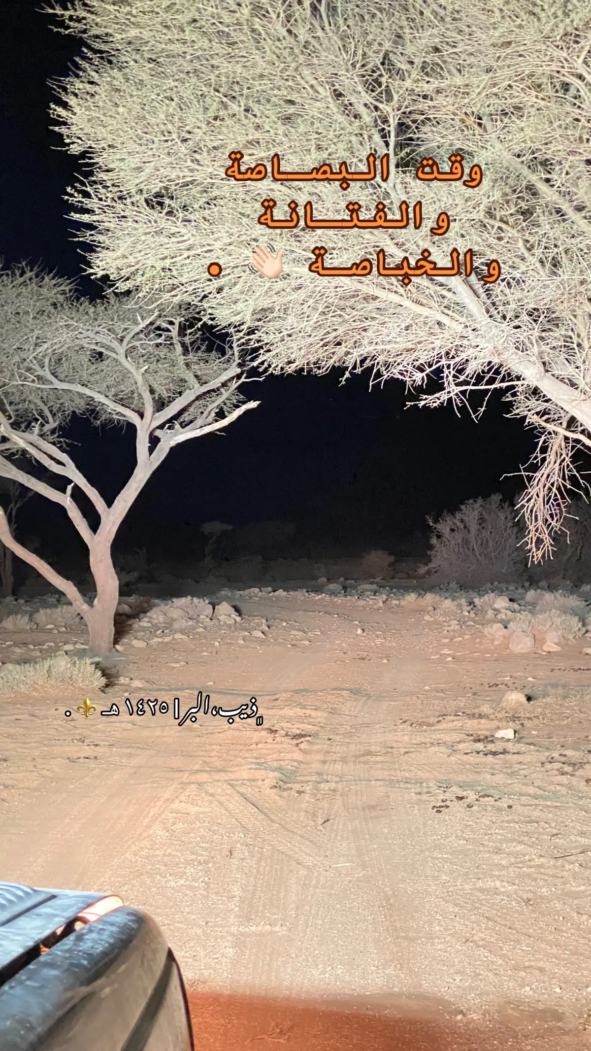 #ذيب_البر⚜️ #الزنتان_تااغرمين_الوااشين_🔥🦅 #الزنتان_القرية_الحمادة 