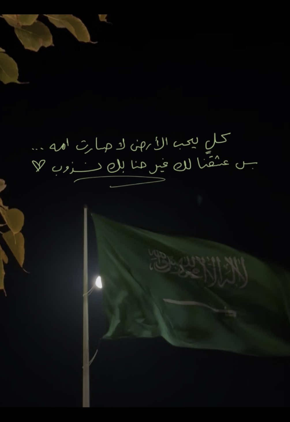 #saudiarabia #السعودية🇸🇦 ❣️