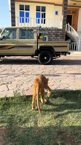 Afghanistan🇦🇫#afganistan #kabul #fyp #tikok #viral #afghan #watan #viralvideo #foryou #afg #