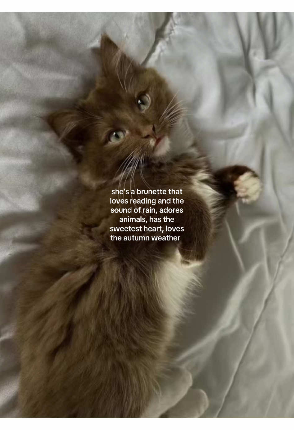 🧸🌅🌟 || Insp: issy.inspox8 || #brunette #relatable #positivity #viralvideos #aestheticvideos 