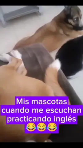 #comedia #humor #paratiiiiiiiiiiiiiiiiiiiiiiiiiiiiiii #paratii 