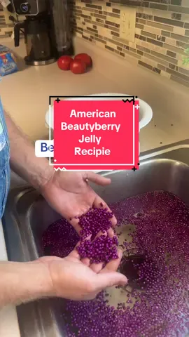 American Beautyberry jelly recipie!#PlantTok #fyp #homestead #gardentok #homesteading 