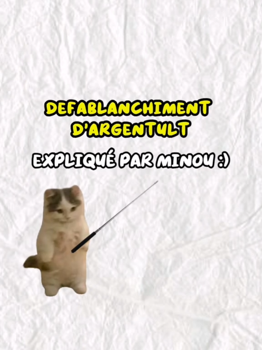 Minou explique le blanchiment d'argent.   #chat #explication #animationdechat #minouexplique  #argent        