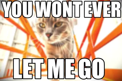dorfic cats #dorfic #cats #frutigeraero #frutigermetro 