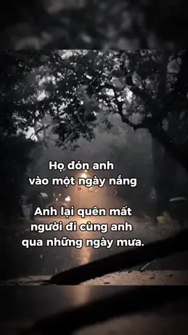#CapCut #hyvongmongmanh #viral 