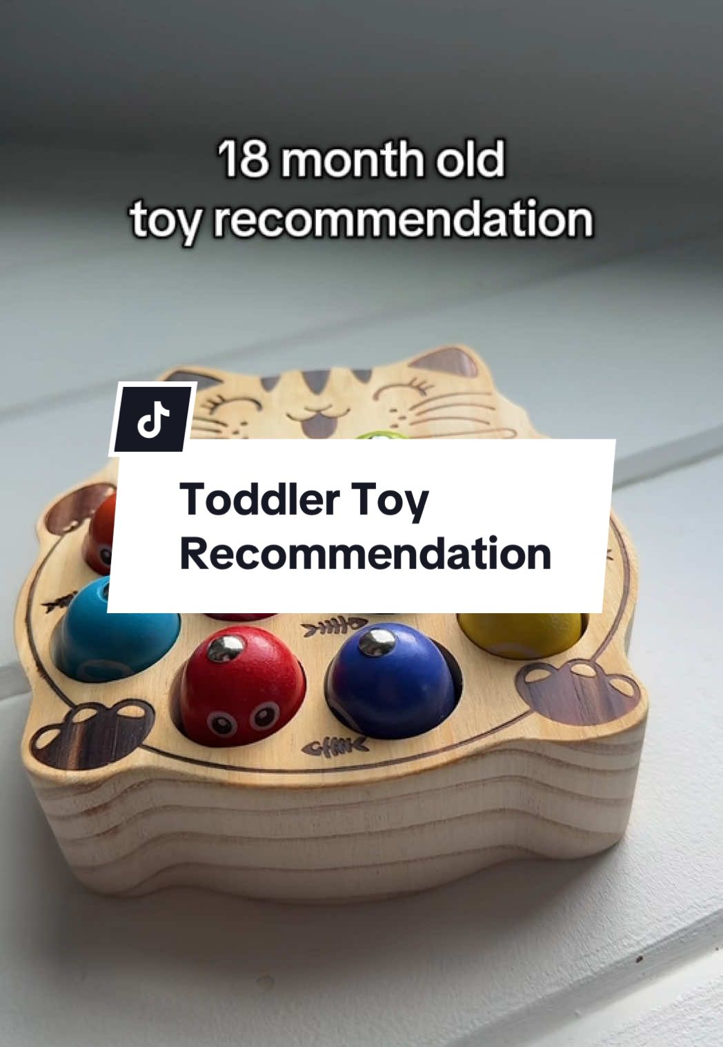 The perfect little toy for color recognition, hand-eye coordination, and patience! #18monthold #toyrecommendations #toddlertoys #giftideas #montessoritoys 