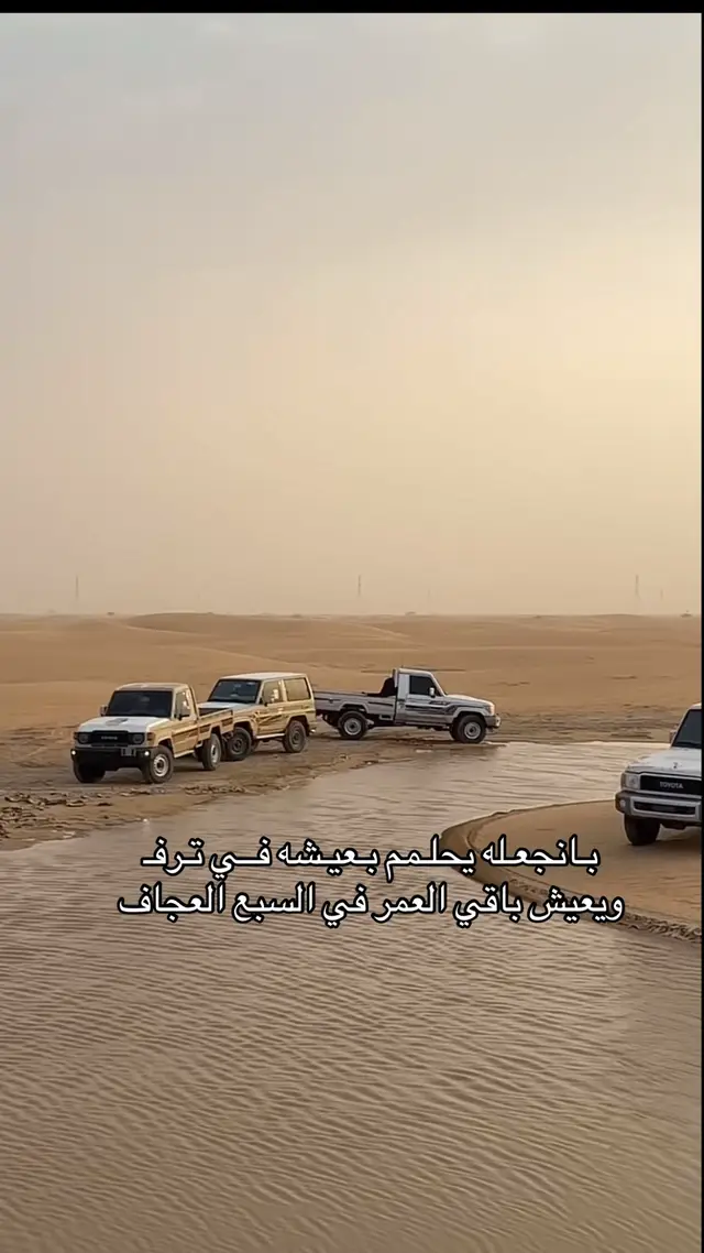 #مارب 