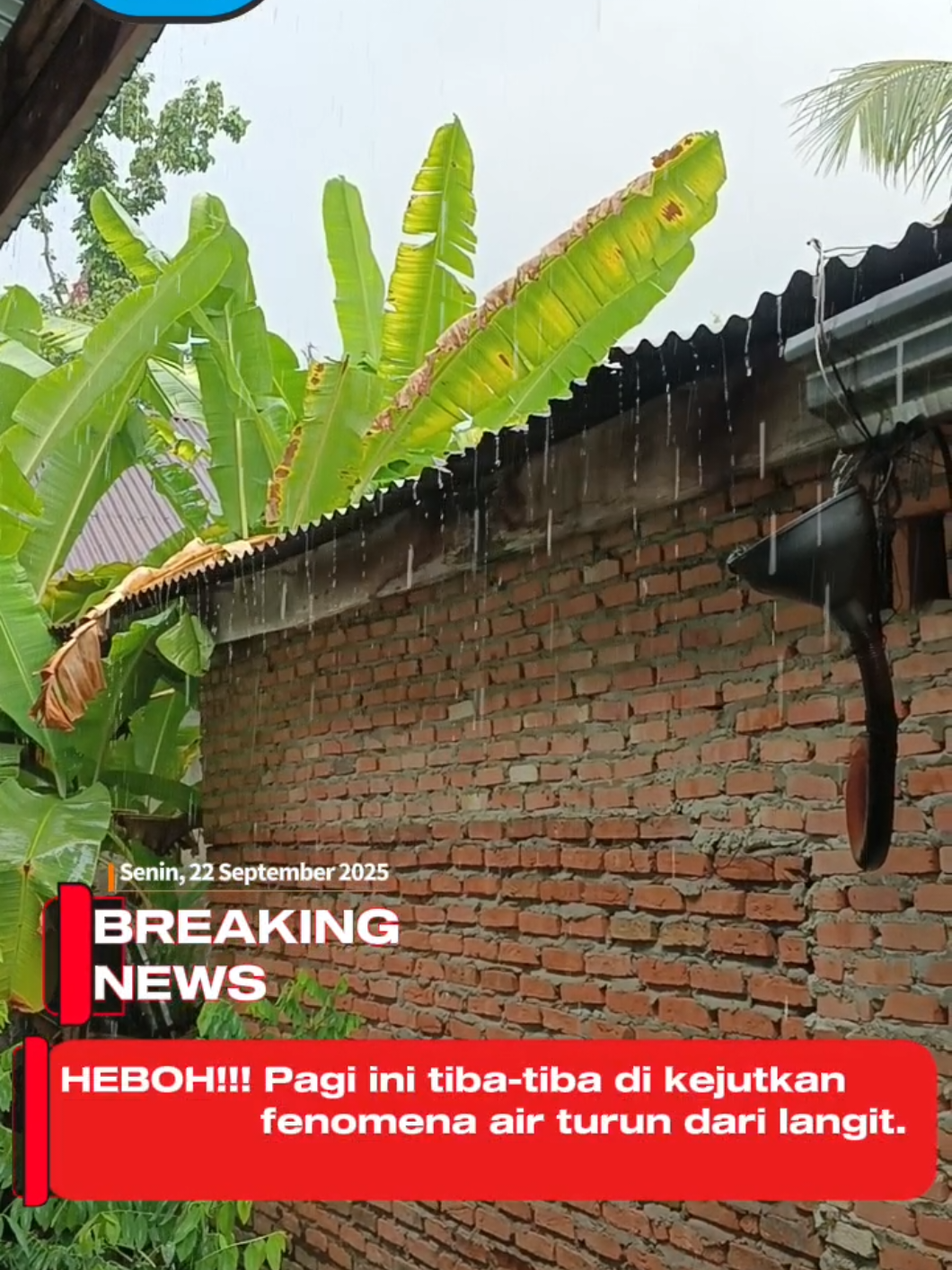 HEBOH!!! PAGI INI DI KEJUTKAN DENGAN FENOMENA ANEH TIBA-TIBA AIR TURIN DARI LANGIT.  FENOMENA INI BIASANYA DI SEBUT HUJAN.  #beritaterkini #sekedarinfo #fyp 