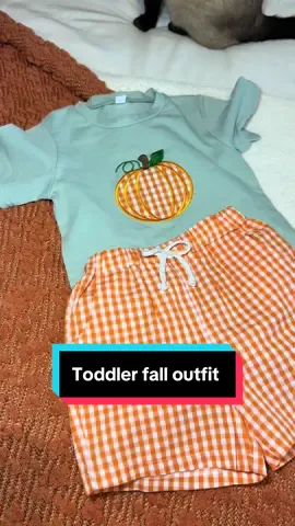 The sweetest little boy outfit! #toddlerboy #toddleroutfit #boyclothes #falloutfits #littleboyclothes 