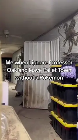 even getting jumped by a rattata would be scary tbh, imagine a fully evolved bug Pokemon 💀 #pokemon #pokemontiktok #nintendo #pokemonmeme #gaming