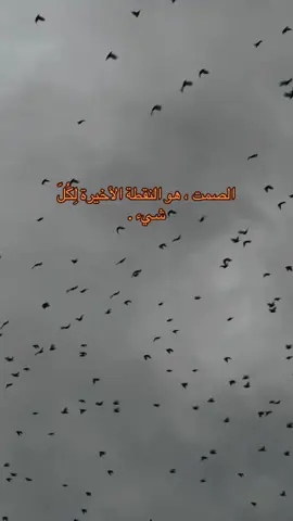 #f #foryou #هواجيس_الليل #احزاني #اقوالي 