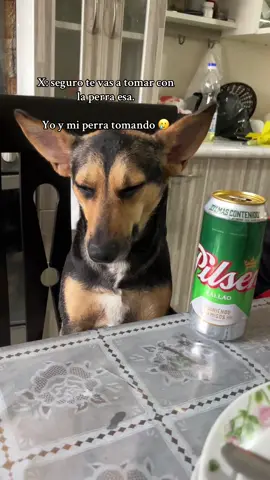 Ella haciéndome el pare hasta las últimas consecuencias!🐕#carmencitalara #perritos 