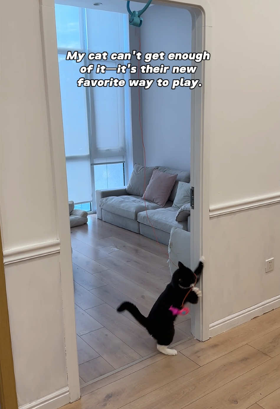 Maybe he can’t catch the bird, but he can definitely catch happiness! #cattoys #catsoftiktok #favoritetoy #catlife #catlover 