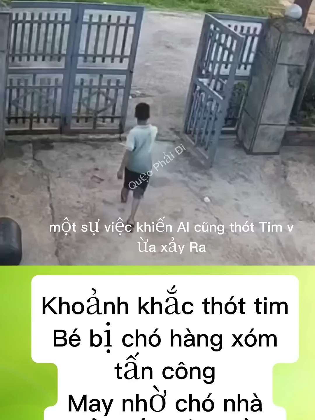 Khoảnh khắc thót tim; Bé bị chó hàng xóm tấn công – May nhờ chó nhà giải cứu kịp thời! #tintuc    #xh  #xahoi  #giaitri  #fyb  #plxh  #xuhuong  #xuhuongtiktok