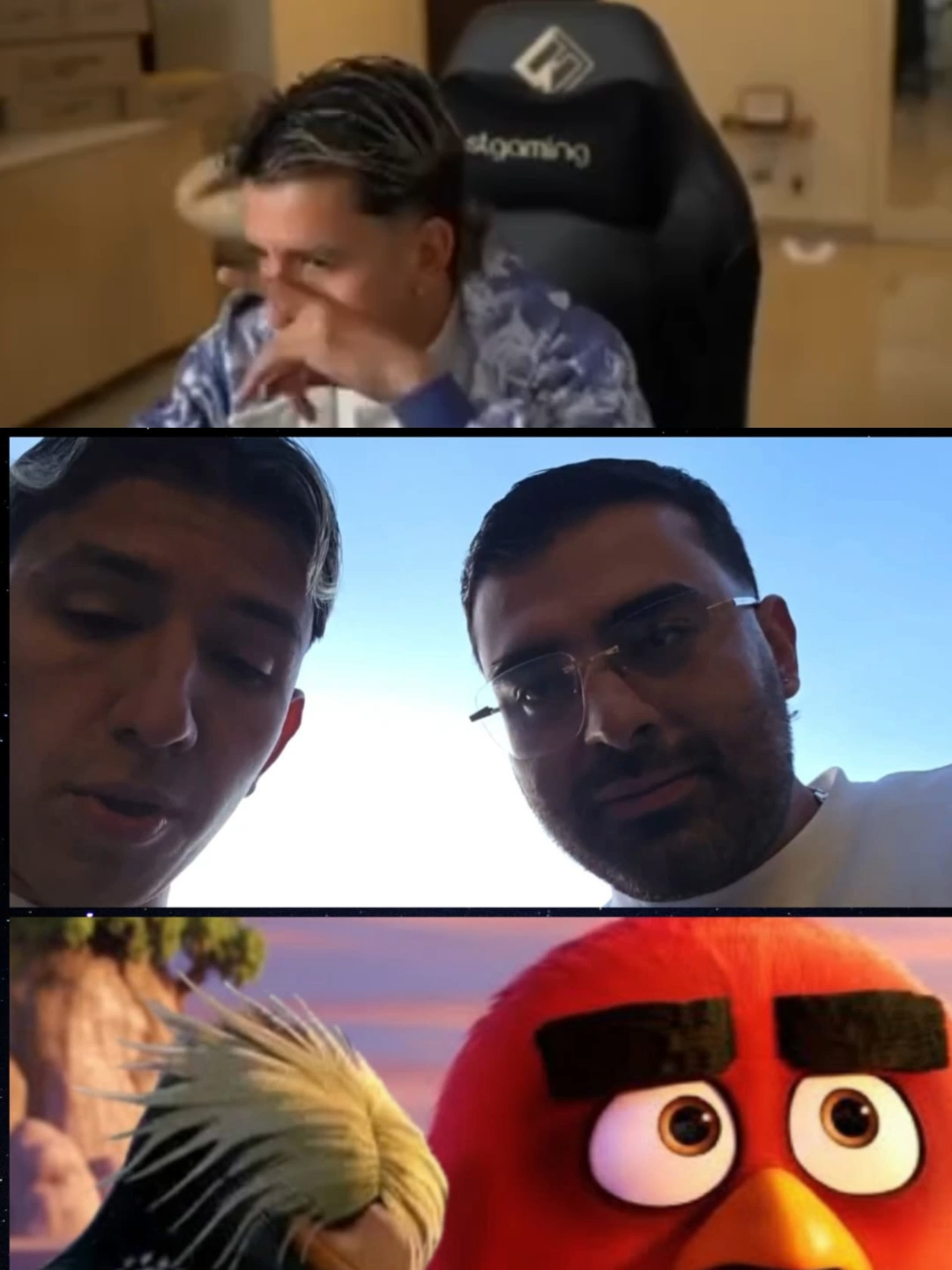 Colaboracion de Chanty y Diego RR con Angry birds? A chanty lo tiene podrido la foto del el como pingüino? #yosoychanty #westcol
