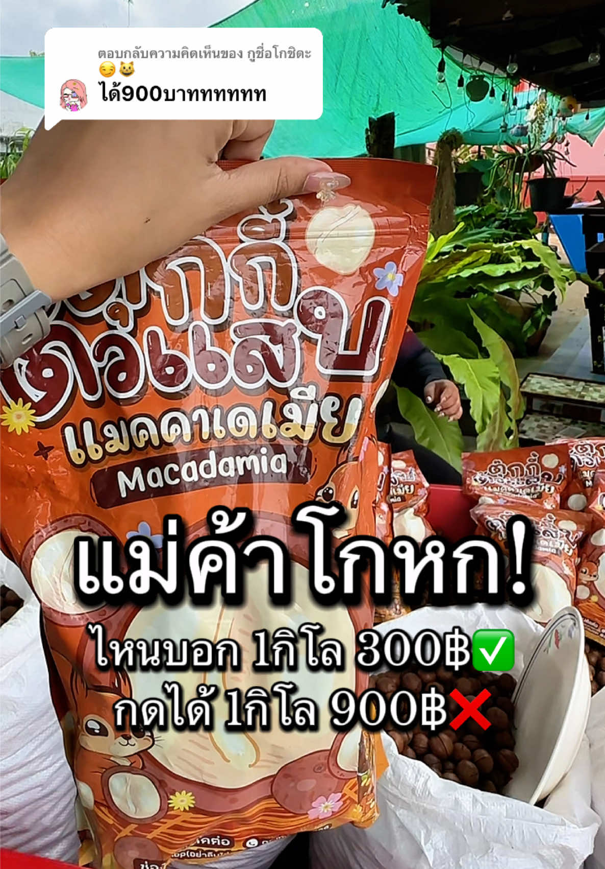 ตอบกลับ @กูชื่อโกชิดะ😏😺 #ตุ๊กกี้ตัวแสบ #แมคคาเดเมีย #แมคคาเดเมียตุ๊กกี้ตัวแสบ #แมคคาเดเมียอบกรอบ #สินค้าขายดี 