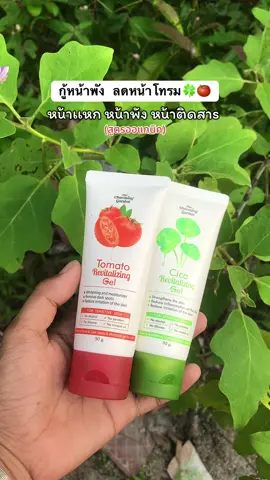 #เจลใบบัวบก #เจลมะเขือเทศ 