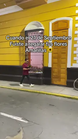 Día de las flores amarillas dicen 😵‍💫 #floresamarillas #primavera #21deseptiembre #trujilloperu🇵🇪 #trujilloperu 