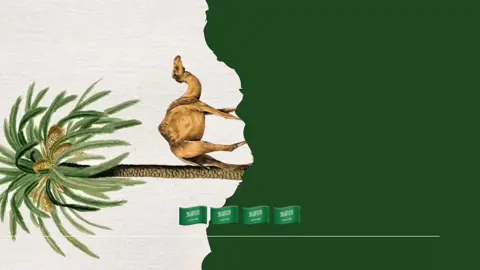 🇸🇦🇸🇦🇸🇦#saudinationalday91 #fyp #explore #اكسبلور 
