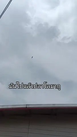 มันไปแล้วปลาโลมากู