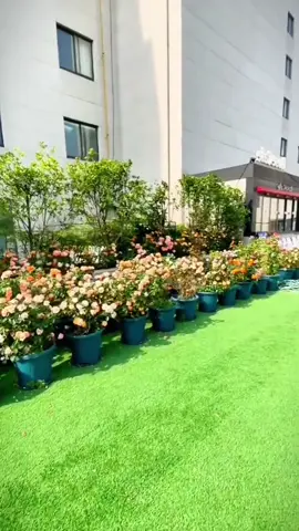 Mall 2*3M artificial grass roll mat backdrop decoration wall artificial plants fake grass for outdoor #goodthing #tiltokshop #fyp #foryou 