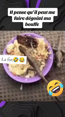 #france #viralvideos #viral #monday 