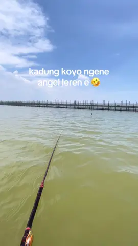 raono obat e jii 🙏 #mancing #viral #fyp #thenyambiks 
