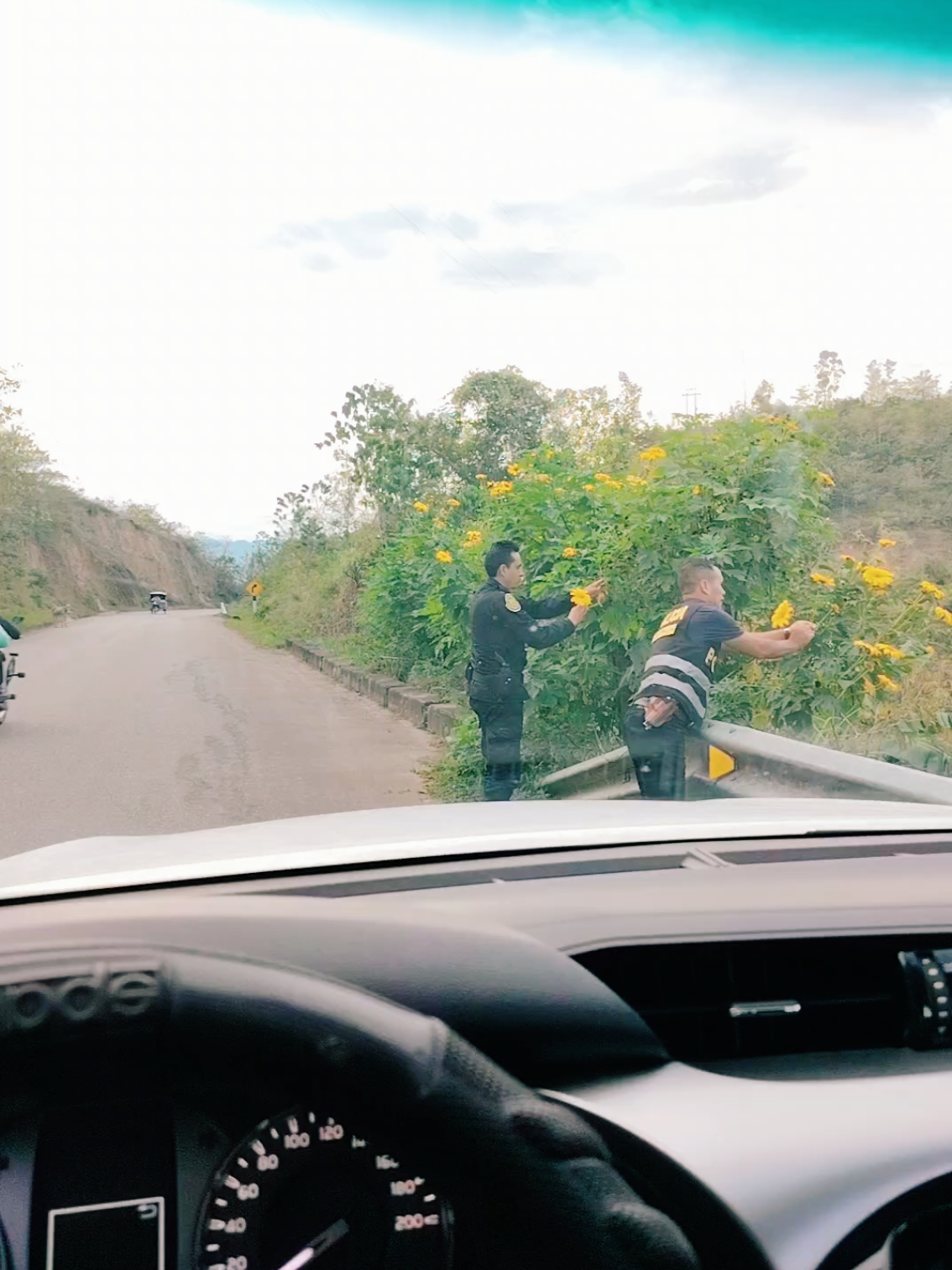#videoviral #fyp #floresamarillas 