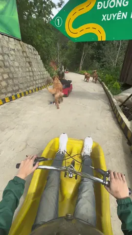 Let’s GO😬😱😨 Mario karting Da Lat. #mariokart #dog#cunskyboy #dalat #britsabroad 