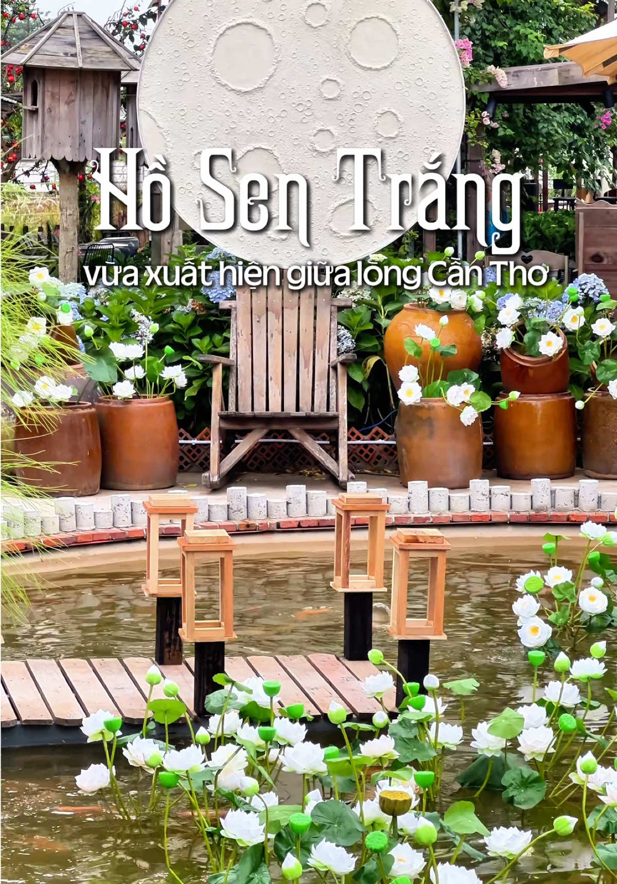Checkin hồ sen trắng mới vừa xuất hiện tại Cần Thơ  #cafecantho #tiemcaphegiosong #65cantho #xuhuong #langthangcantho 