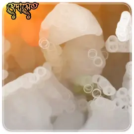 মাওলানা আনিসুর রহমান আশরাফী #foryou #foryoupage #ইসলামিক_ভিডিও #ইসলামিক_ভিডিও #ইসলামিক_ভিডিও_🤲🕋🤲 