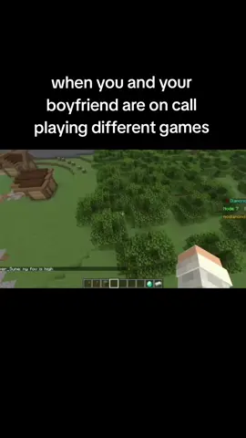 he bought me silksong 😊 // #Minecraft #silksong #Relationship #hollowknight #gaming 
